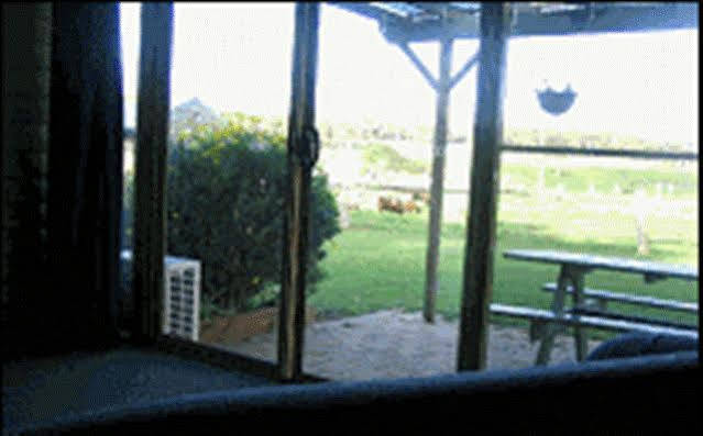 Sunflowers Animal Farm & Farmstay Маргарет-Ривер Экстерьер фото